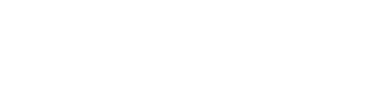 Trolleva Logo